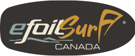Logo du site eFoilSurf Canada Website logo